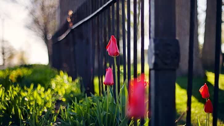 Fence and Gate Security Features